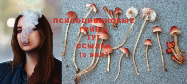 скорость Липки