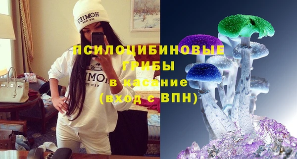 apvp Лихославль