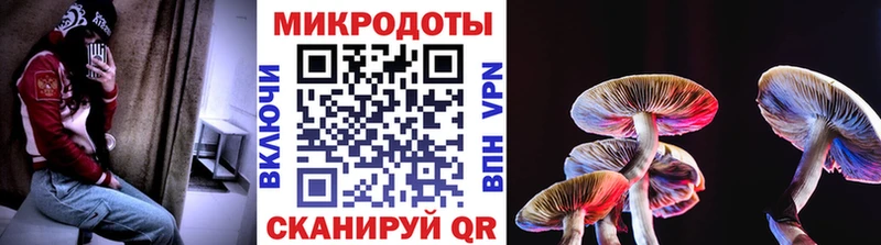 Галлюциногенные грибы Psilocybine cubensis  где купить наркоту  Самара 