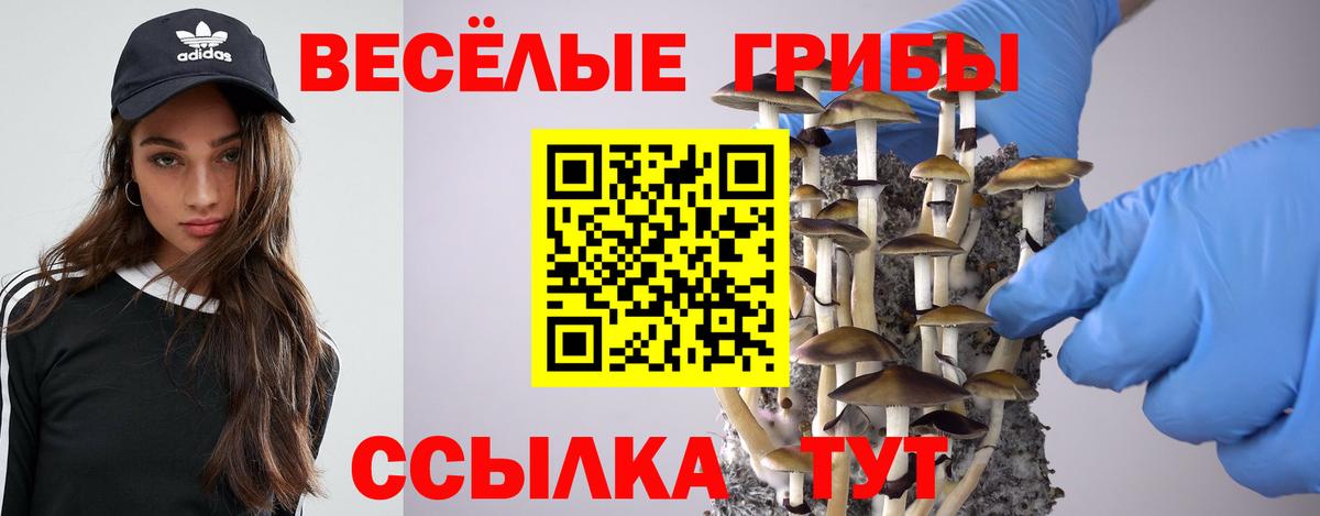 Галлюциногенные грибы Cubensis  Галлюциногенные грибы мухоморы  Вход с VPN  Самара 